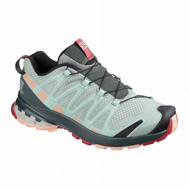 Chaussures De Randonnée Salomon Femme Turquoise Clair Grise - Salomon XA PRO 3D V8 - France (1562-PK